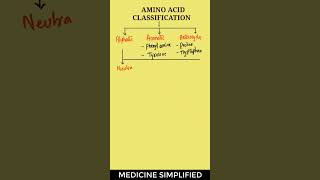 Amino Acids Classification  Classification of Amino Acids  Amino Acids biochemistry [upl. by Enicnarf96]