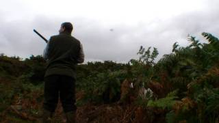 Wynnstay Partridge 24th Sept 2011 [upl. by Raval127]