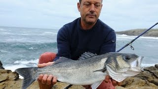 Pêche au bar du bord  5 bars pris au leurre en direct live [upl. by Ortiz]