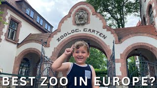 A Day at the Leipzig Zoo Europes Top Wildlife Experience [upl. by Nsaj47]