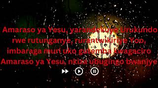 Amaraso ya yesu video lyrics [upl. by Ardnaeed]