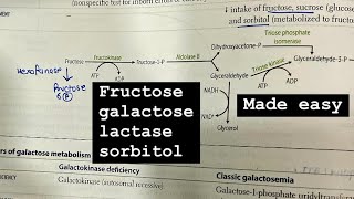 Fructosegalactoselactasesorbitol metabolism made easy hindi  first aid BIOCHEM SERIES [upl. by Mccollum]