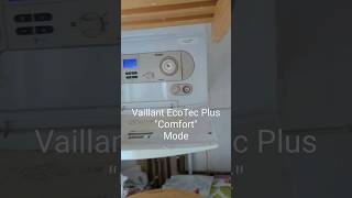 Vaillant EcoTec Plus Comfort Mode [upl. by Certie805]