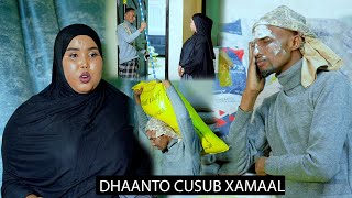 DHAANTO CUSUBXAMAAlSHUCEYB YARE IYO SAFIYA SAAFINEW VIDEO OFFICIAL2024 [upl. by Obara]