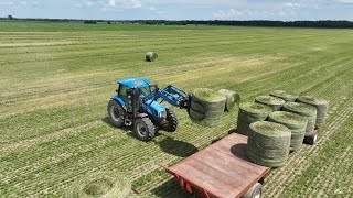 CANADIAN FARMER  INVASION LEAFHOPPERS blew in from down south No time to waste Harvest quickly [upl. by Alleirbag662]