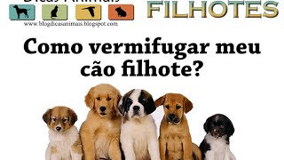 COMO VERMIFUGAR OS CÃES FILHOTES [upl. by Haymo]