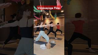 vinyasayoga vinyasa yoga yogalife 빈야사요가 하체강화 플로우 [upl. by Acinehs]