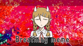 Breathing memeFlash warning [upl. by Leamse]