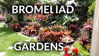 BROMELIAD GARDENS [upl. by Blake590]