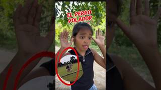 El perro volador humor comediaencorto shortfilm comediavariada cortometraje [upl. by Drislane]