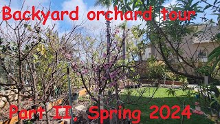 Backyard orchard tour Part II Spring 2024 [upl. by Novrej20]