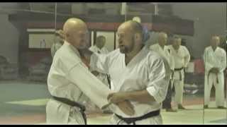 Iain Abernethy  Karate Bunkai  Interview Seminar Slater Australia [upl. by Eerahs]