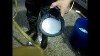 Diagnóstico de Mastitis Clínica y Subclínica Dr Richard Arancibia [upl. by Ragde981]