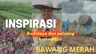 Menggali potensi Bawang merah ‼️⁉️yang kurang diminati di komoditas Hortikultura [upl. by Nelleoj]