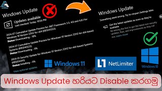 How to disable Windows 10  11 Update permanently Sinhala  NetLimiter Pro  Serial Code [upl. by Calva]