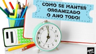 COMO SE MANTER ORGANIZADO O ANO TODO  Organize sem Frescuras [upl. by Flory]