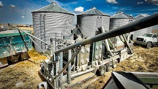 Harvest Over Better Clean Grain And Stow Equipment [upl. by Adaurd]