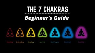 What are the Chakras The ULTIMATE Beginners Guide to the 7 Chakras [upl. by Imray541]