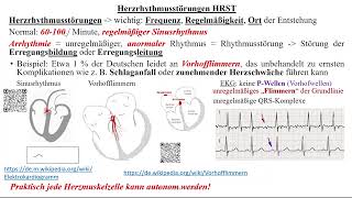 Herzrhythmusstörungen Supraventrikuläre Tachykardien 1 [upl. by Garda]