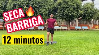 Treino de 12 minutos  Seca barriga em casa SEM EQUIPAMENTOS [upl. by Aschim560]