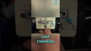 Different ways to open your door welock diy smartlock [upl. by Henriha]