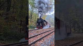 15 Abonnenten spezialisiert HSB beim Bahnhof Steinernde Renne [upl. by Yaras914]