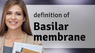 Basilar membrane • meaning of BASILAR MEMBRANE [upl. by Asyram]