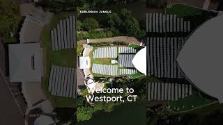 Living in Westport CT [upl. by Gorski]