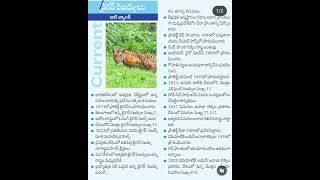 Tiger 🐯 census railway exams special 12 nov 2024 [upl. by Sutsuj]