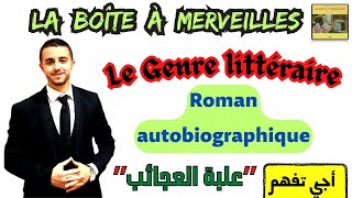 La Boite à Merveilles  la problématique du genre littéraire [upl. by Colby]