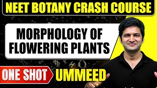 MORPHOLOGY OF FLOWERING PLANTS in 1 Shot All Concepts Tricks amp PYQs  NEET Crash Course  Ummeed [upl. by Orimlede]