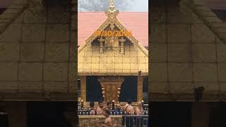 Sabarimala 2024 new videosabrimalatemple sabarimalapambariver swamiayyappatrending shortvideo [upl. by Noled]