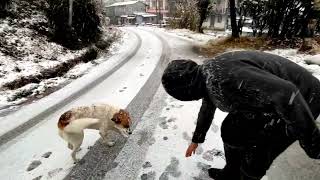 Snowfall 50222 Kurseong Bagora [upl. by Amieva]