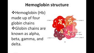 What are different Hemoglobins [upl. by Seka]