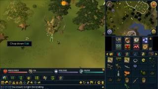 How to find an Evil Tree on RUNESCAPE Evil Tree Guide  The New Alliance RS [upl. by Abrams]