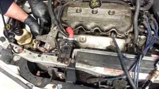 Confirming a Blown Head Gasket Performance Transmission and AC Gainesville FL [upl. by Socem]