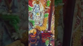 🔱🚩🕉18 November Sarvarddh Siddhi Yog shivshankarMahasanyog Haldigangajallike subscribe [upl. by Cirdnek]