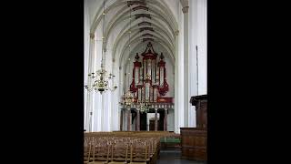 Bach quotO Mensch bewein dein Sünde grossquot BWV 622  Theo Teunissen [upl. by Orton773]