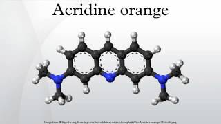 Acridine orange [upl. by Annahahs]