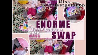 1 ENORME SWAP LPS avec Miss Littlestpetshop [upl. by Nerb]