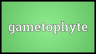 Gametophyte Meaning [upl. by Elleniad]