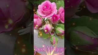 Tumne diya Jo tofa mujhe Judai ka💔💔shortsvideo viralvideo whatsappstatus goodmorningstaus 🙏🥀🌹🥀 [upl. by Ynoffit78]