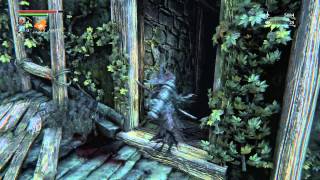 Bloodborne Deep Sea Increases frenzy resistance  Caryll runes  locations guide l Forbidden Woods [upl. by Loram]