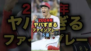 2024年ヤバすぎるファインプレー５選 プロ野球 阪神タイガース 広島東洋カープ 矢野雅哉 [upl. by Rehsa]