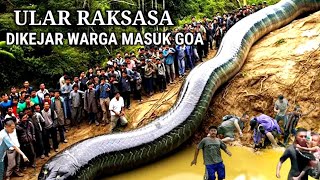 GEGER  ULAR RAKSASA DI KEJAR WARGA MASUK GOA PERTAPAAN [upl. by Tnek942]