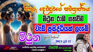 Mithuna lagna palapala  2024 june  Gemini horoscope reading  srilanka astrology sikuru maruwa [upl. by Decato]