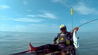 Pesca de Jurel en kayak en Chacala Nayarit [upl. by Tiram]