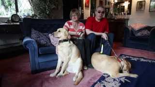 Blind couple find love after their dogs fall for each other at a guide dog training course [upl. by Gaile]