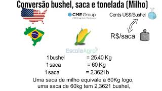 Conversão bushel saca e tonelada [upl. by Cheryl]