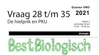 Biologie examen VWO 2021 2e tijdvak vraag 28 tm 35 [upl. by Ellswerth]